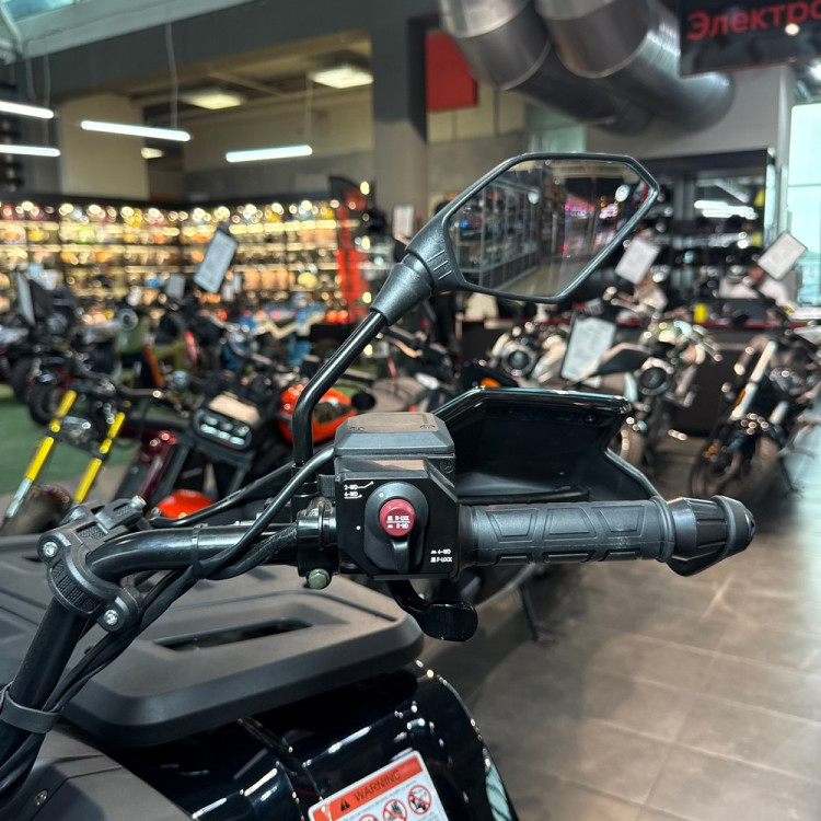 Электроквадроцикл Bizon YK450EL EPS