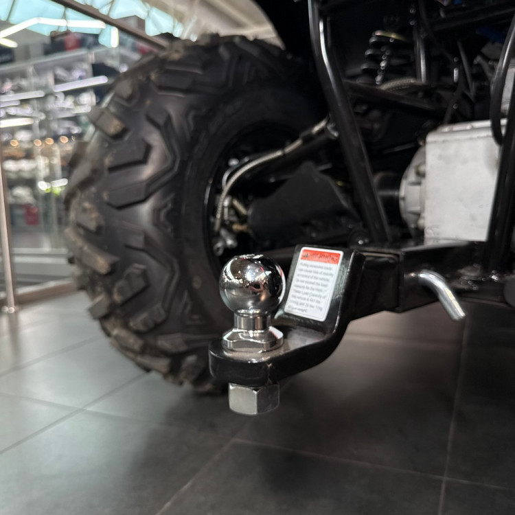 Электроквадроцикл Bizon YK450EL EPS