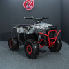 Электроквадроцикл  ECO BUGATTI