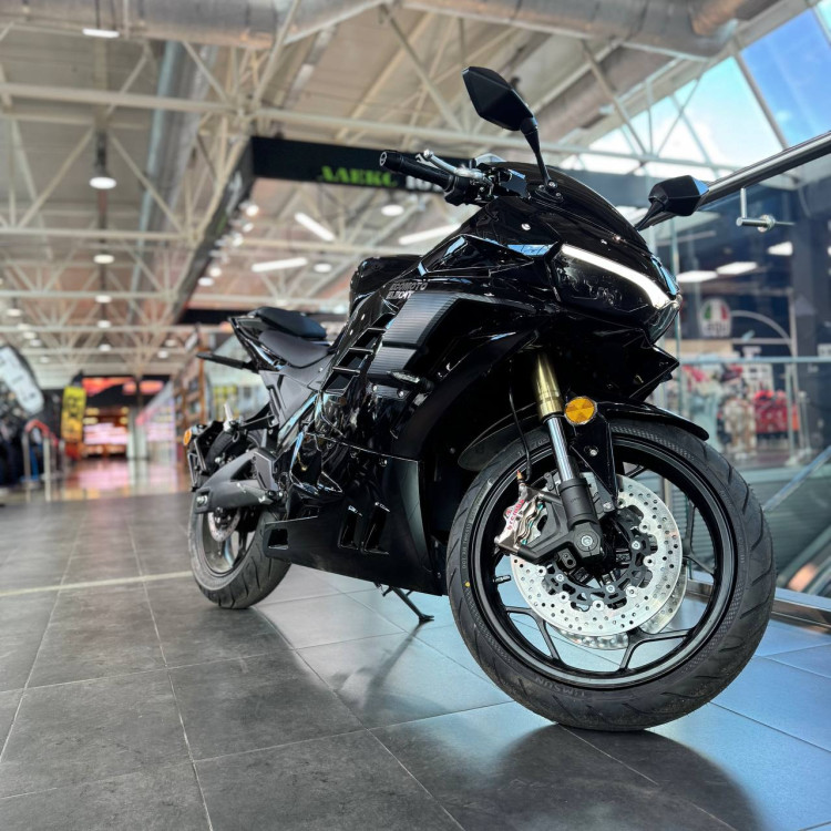 ECO Ducati Panigale S Black 132Ah