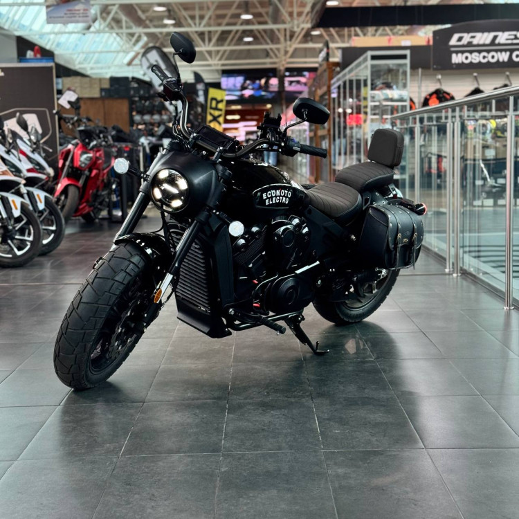 ECO Harley Davidson