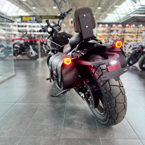 ECO Harley Davidson