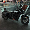 ECO Harley Davidson