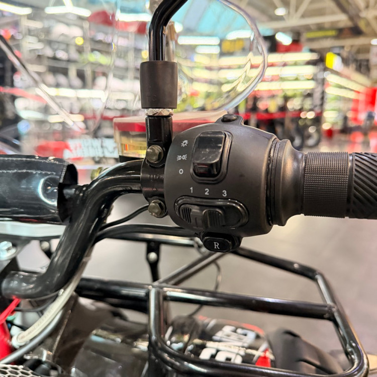 Электроквадроцикл White Siberia SNEG PRO 3000W 2026 (С гидроизоляцией)