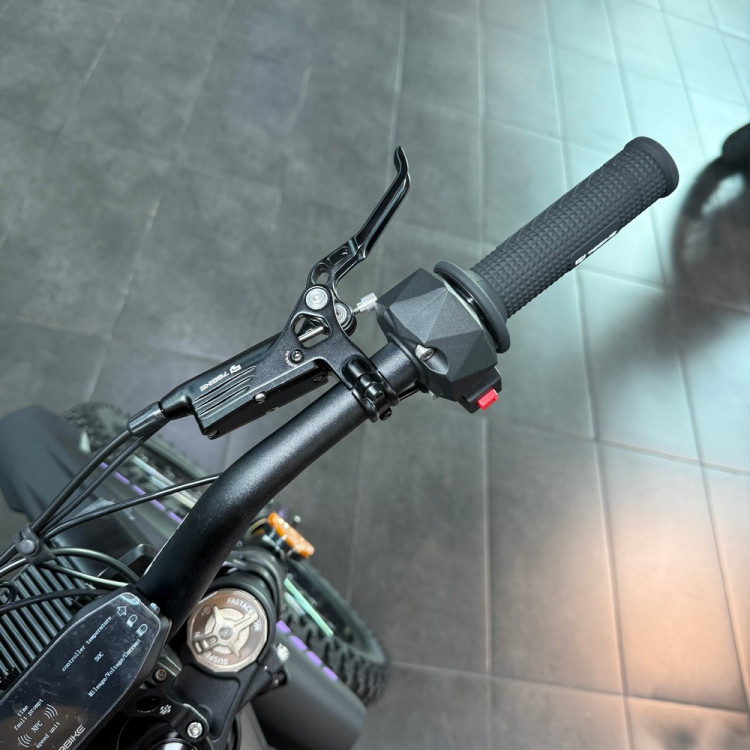 Электробайк 79 BIKE Falcon Lynx