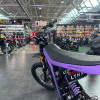Электробайк 79 BIKE Falcon Lynx