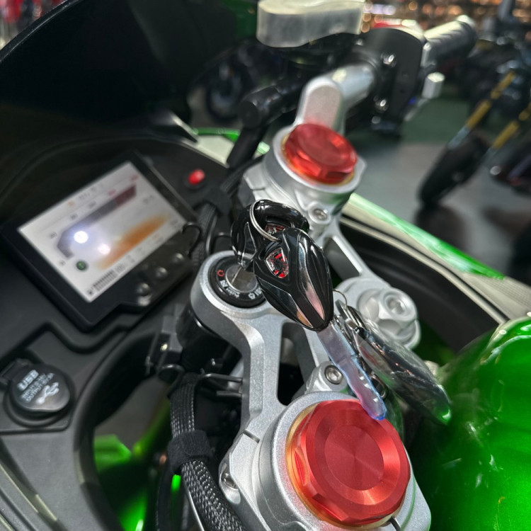 ECO Ducati Panigale Green 120Ah