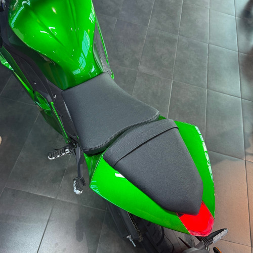 ECO Ducati Panigale Green 120Ah