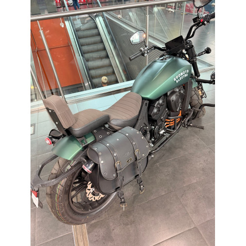 ECO Harley Davidson Green