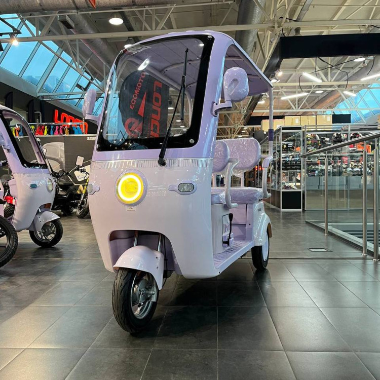 Электротрицикл ECO MeinAidi