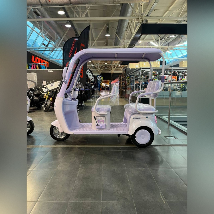 Электротрицикл ECO MeinAidi