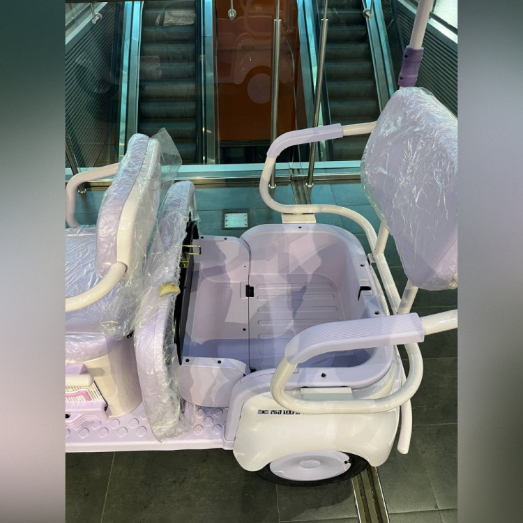 Электротрицикл ECO MeinAidi