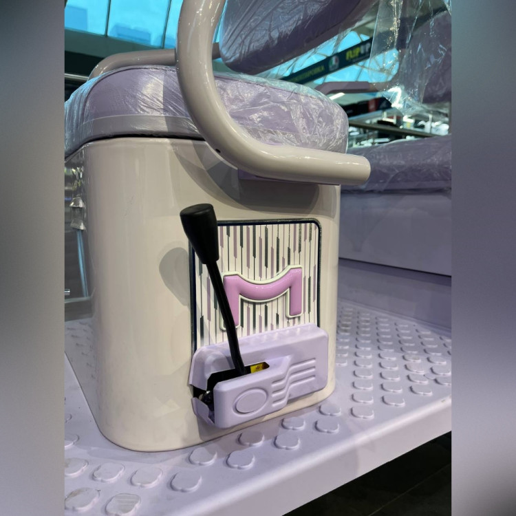 Электротрицикл ECO MeinAidi