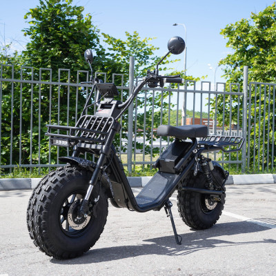 EcoMoto Lion Off-Road E1200W Back Edition