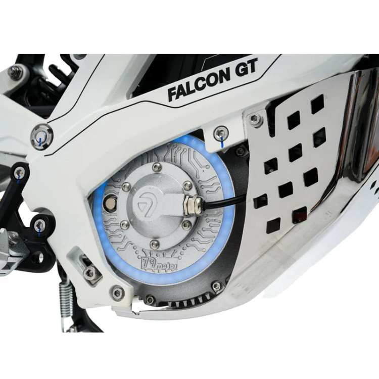 Электромотоцикл ECO Falcon GT