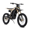 Электробайк 79 BIKE Falcon Lynx