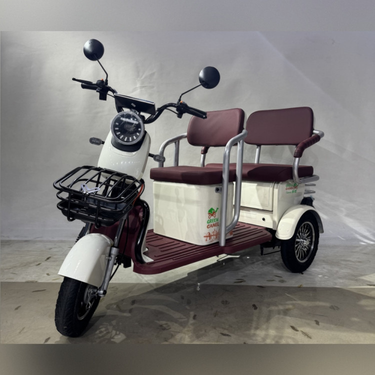 Электротрицикл GreenCamel Пони Z8 V2