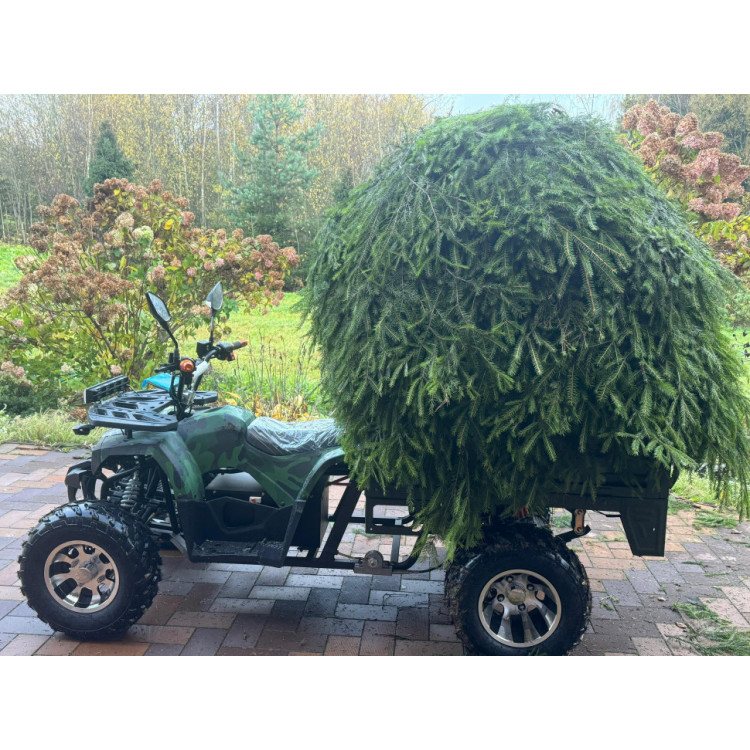 Квадроцикл грузовой GreenCamel Сахара A015