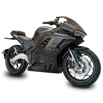ECO Ducati Panigale S Black
