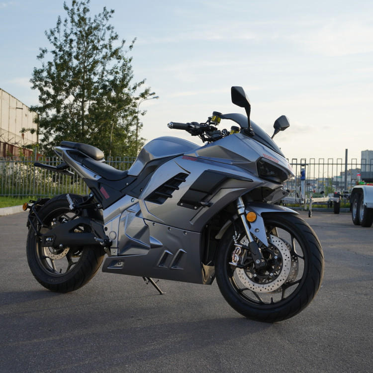 ECO Ducati Panigale S Grey 180Ah