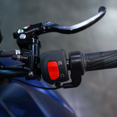 ECO Ducati Diavel PRO