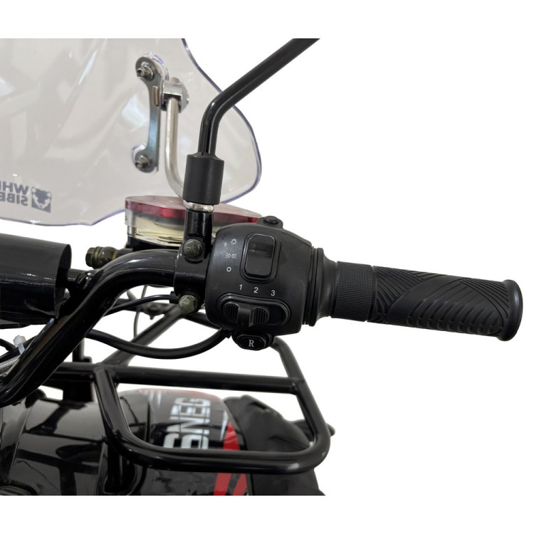Электроквадроцикл White Siberia SNEG PRO 3000W 2026